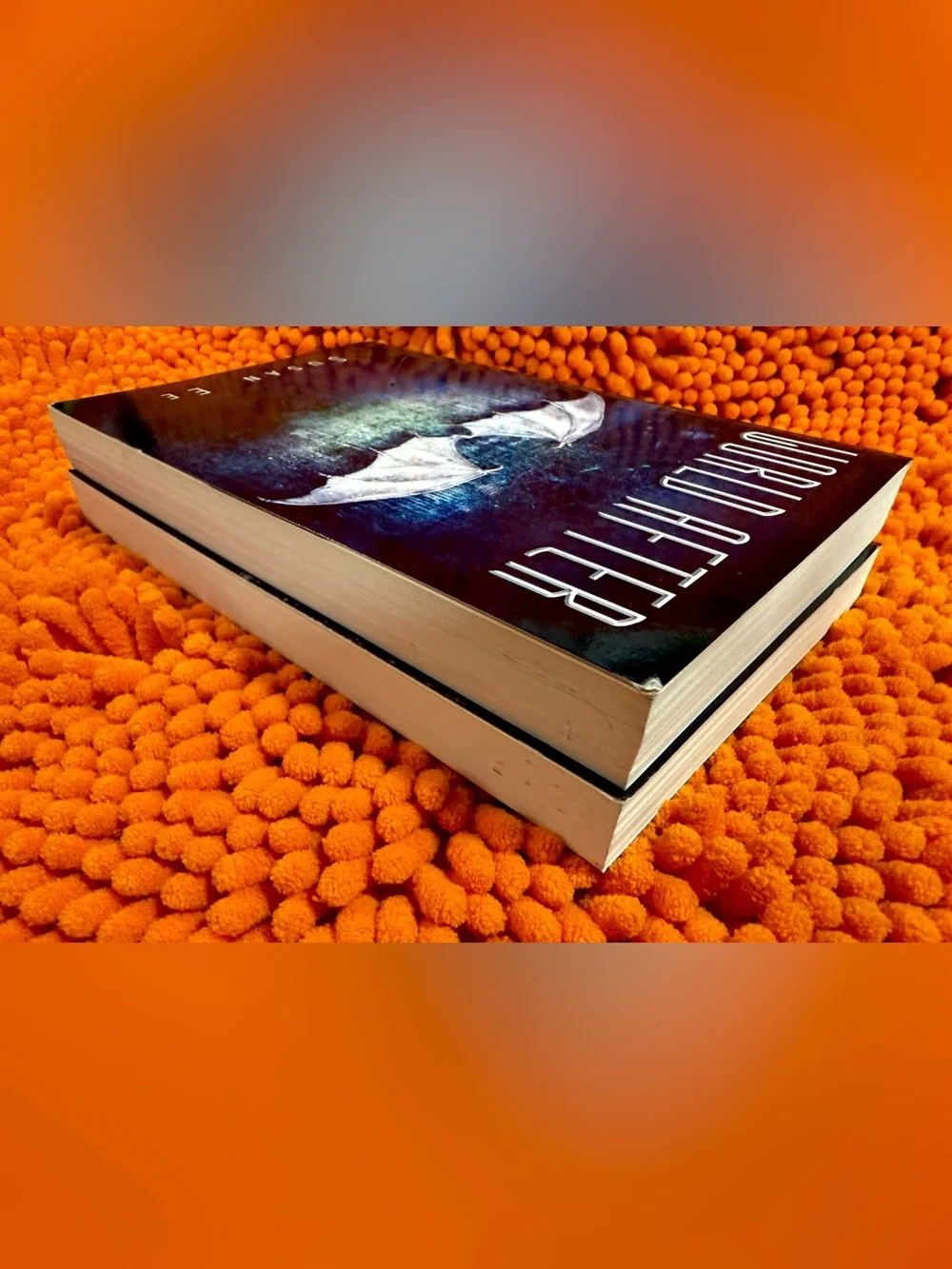 Angelfall & World After Trade Paperbacks By Susan Ee